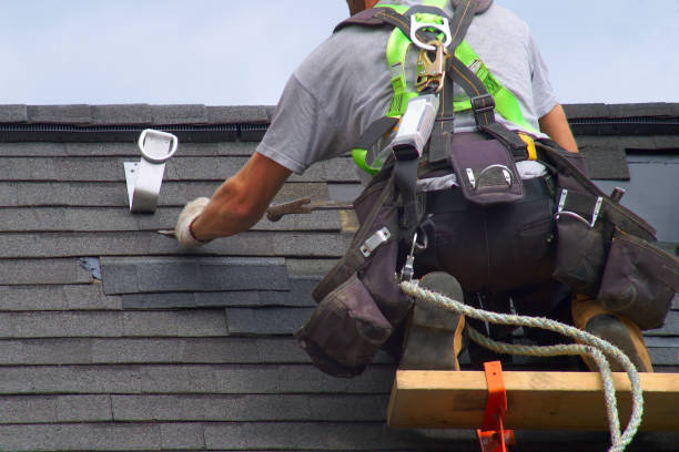 Best Chimney Flashing Repair  in North Brooksville, FL